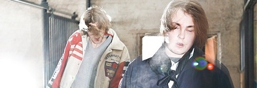 zebra and snake zebra and snake