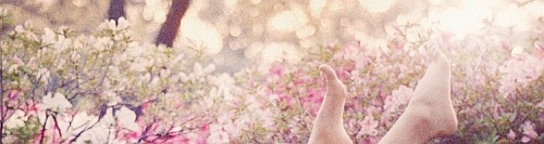 artworks-000012385091-rt2idr-original (1)