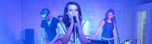 Ursa Minor (Little Bear)