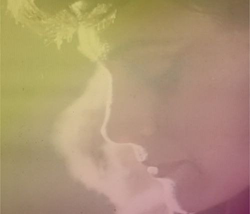 STRANGEHEART Single 1