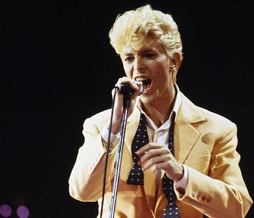davidbowie