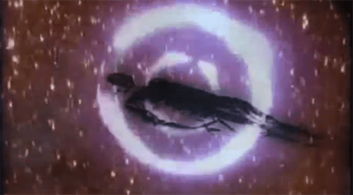 Club Mod  008  Canyons present Pink Gin   Blame Me   YouTube