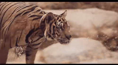 Rudimental   Right Here feat. Foxes  Official Video    YouTube