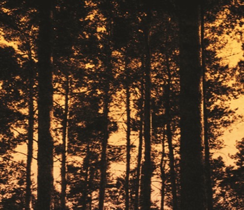 lightwaves_returned_02