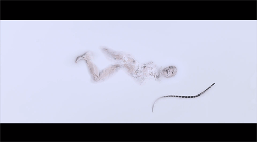 Maya Jane Coles   Comfort   YouTube